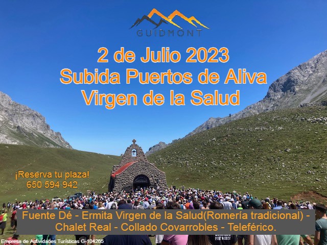 cartel subida a Virgen de la Salud