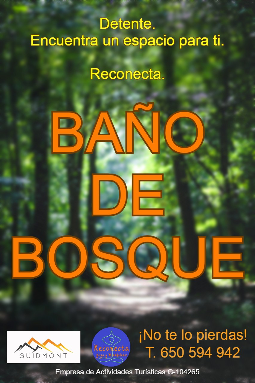 cartel baños de bosque