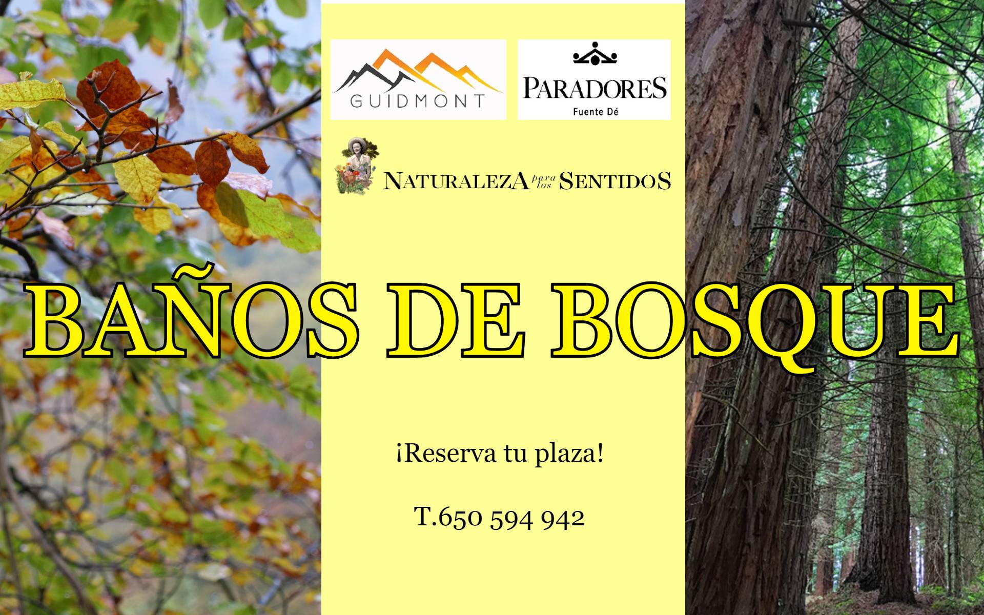 Cartel marcha nórdica