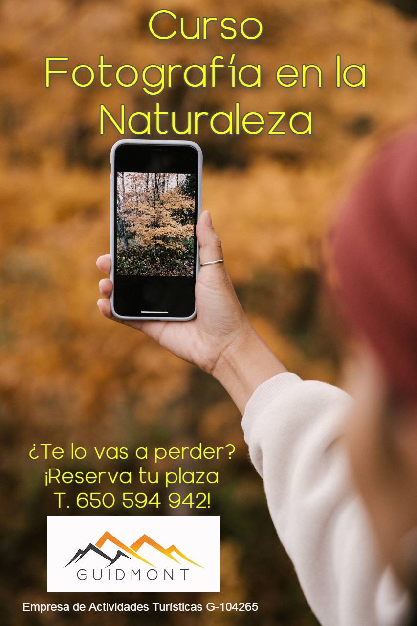 cartel baños de bosque