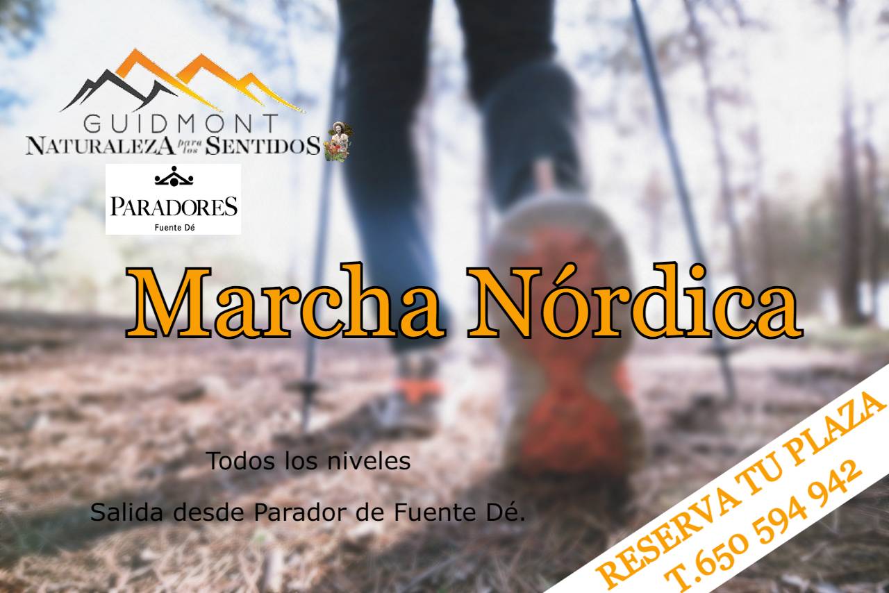 Cartel marcha nórdica