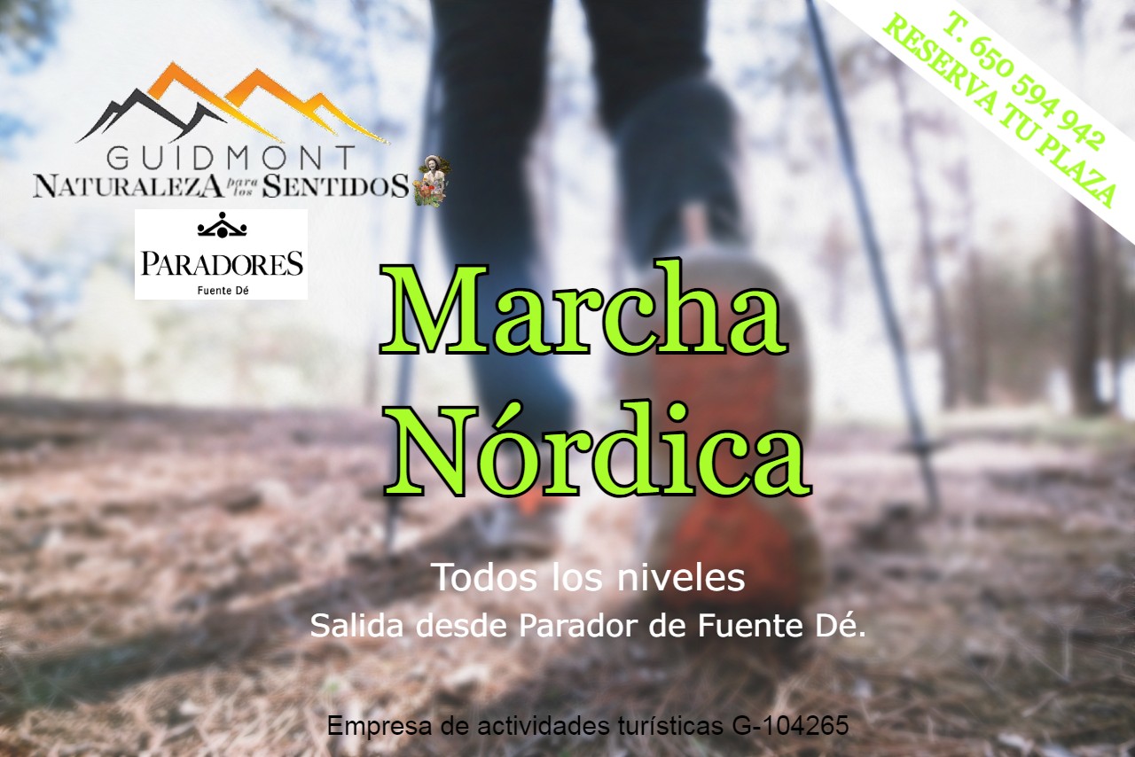 Cartel marcha nórdica