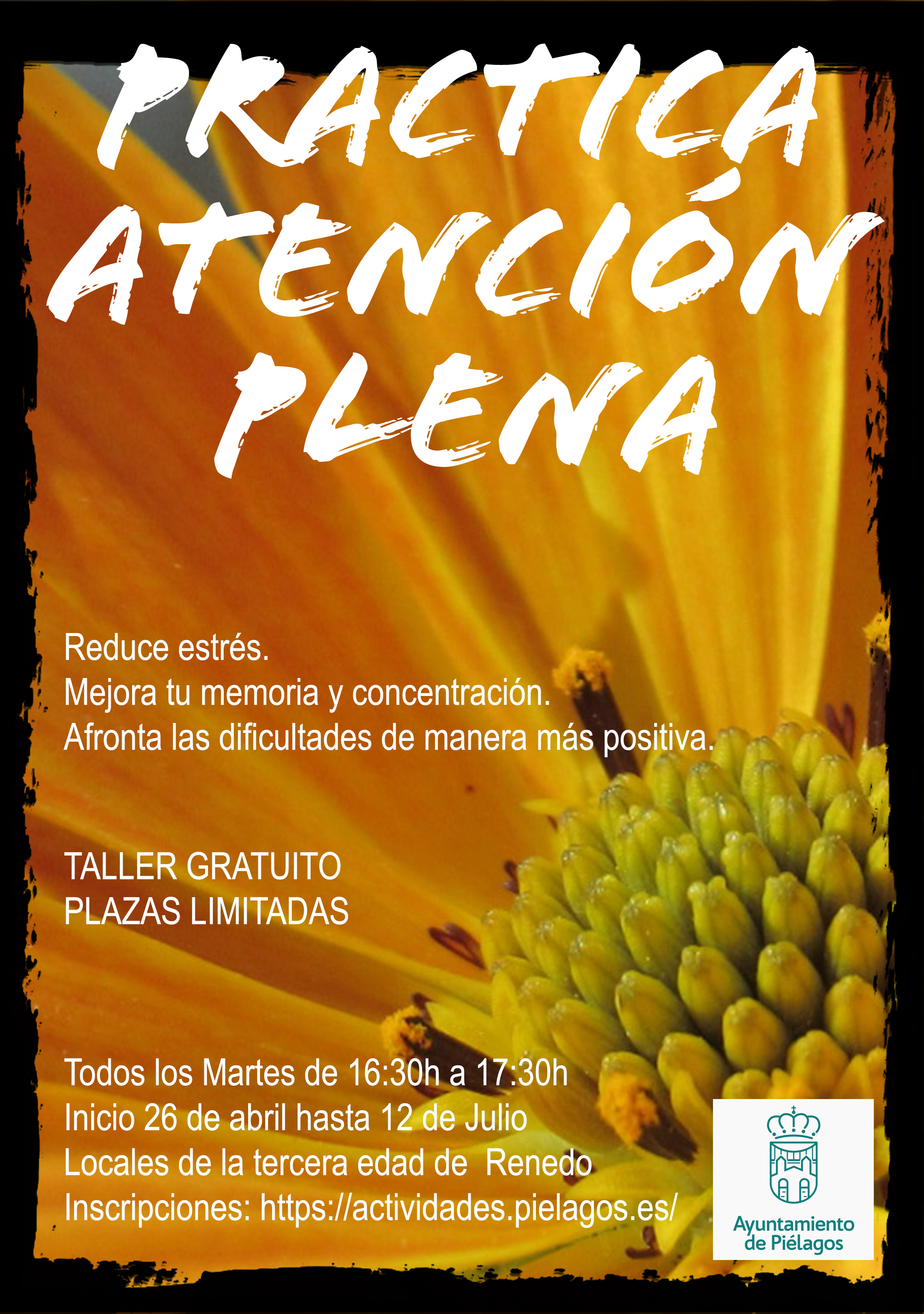 Cartel mindfulness en Piélagos