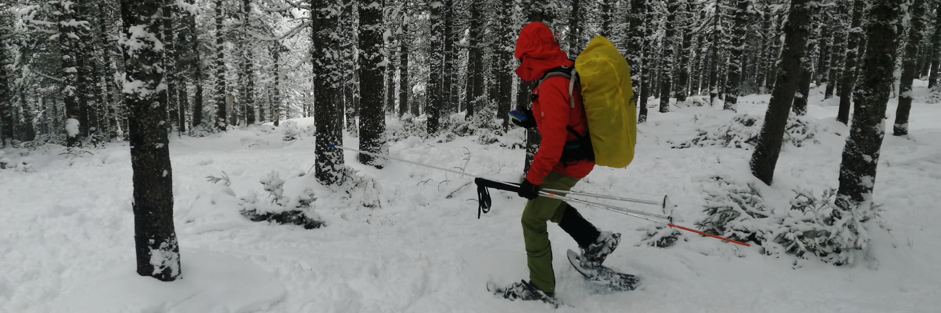 Anillo de Picos, Picos de Europa, Cantabria
