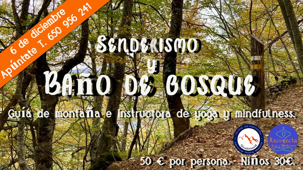 Cartel yoga en Piélagos