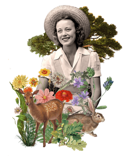 naturaleza para los sentidos