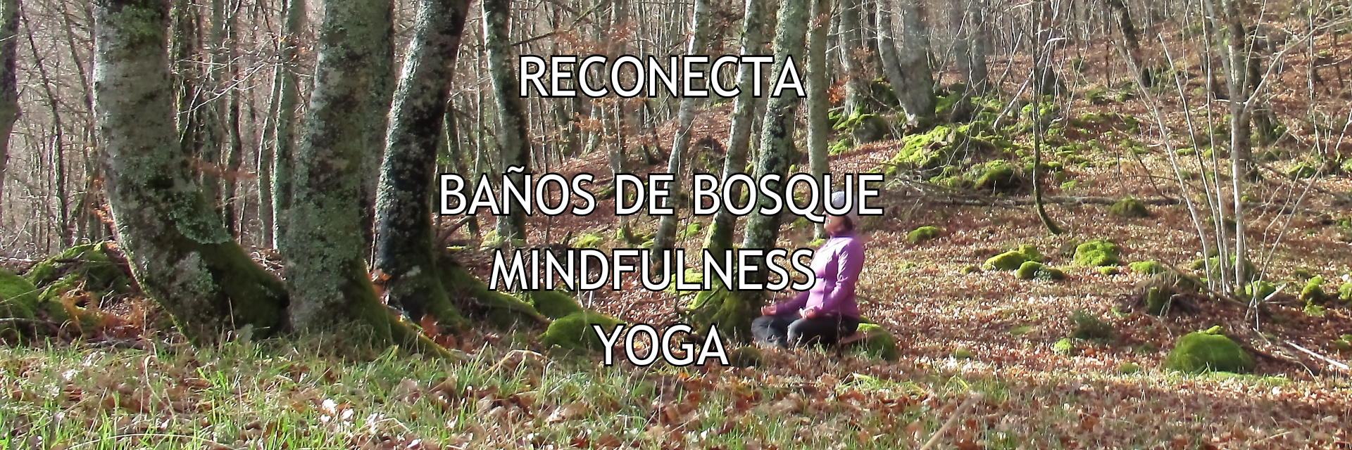 Actividad de Baño de bosque